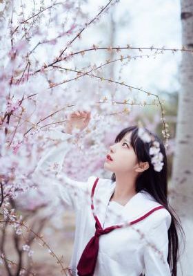 汉口码头电视剧免费播放_剧情片高清视频观看